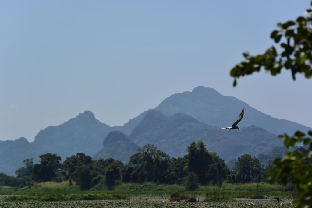 Sigiriya Village Home Stay Dış mekan fotoğraf