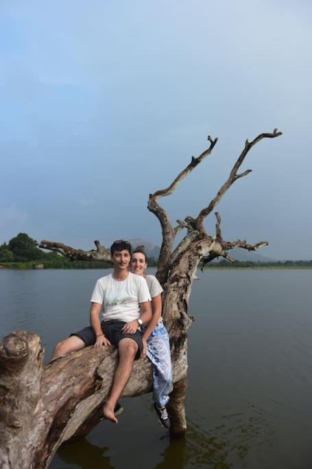 Sigiriya Village Home Stay Dış mekan fotoğraf
